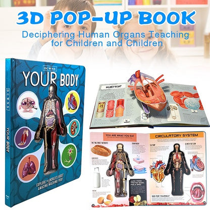 Anatomy of The Human Body 3D Picture Book 1