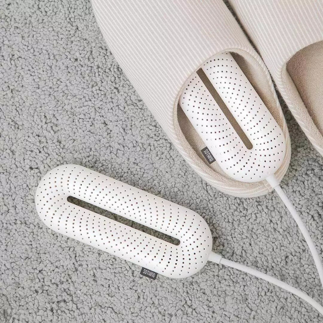 Electric Shoes Dryer 1