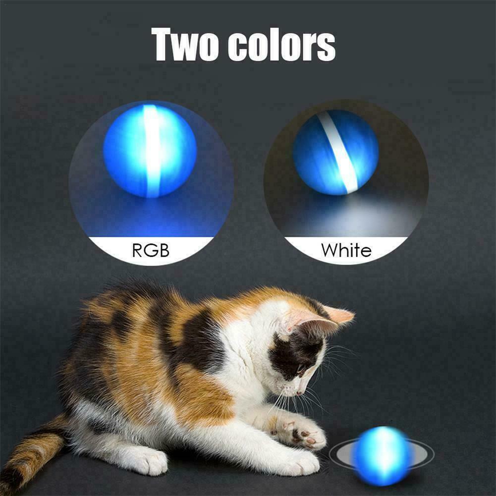 Motion Ball For Pets 1