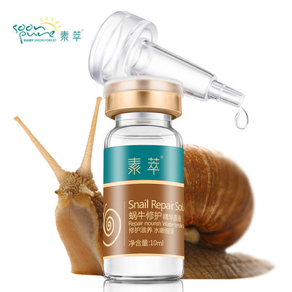 Rejuneating Snail Essence 1