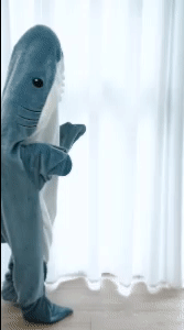 Shark Blanket Hoodie 1