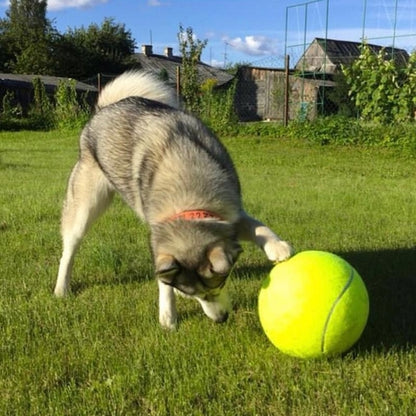 Giant Tennis Ball For Pets 1