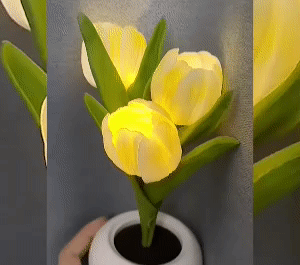 Tulip Night Light with Vase 1