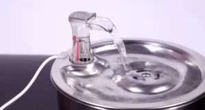 Stainless Steel Cat Drinking Fountain 1