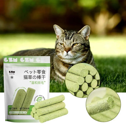 Cat Grass Teething Sticks 1