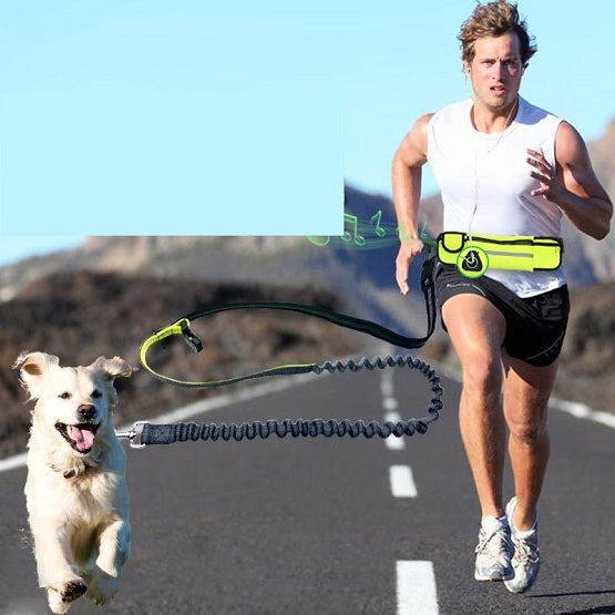 Handsfree Bungee Dog Leash 1