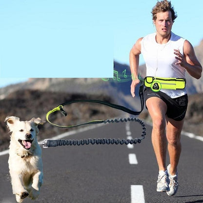 Handsfree Bungee Dog Leash 1