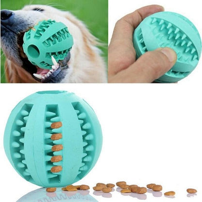 PET RUBBER BALL 1