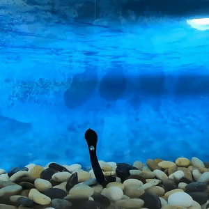 Soft Bionic Fishing Lure 1