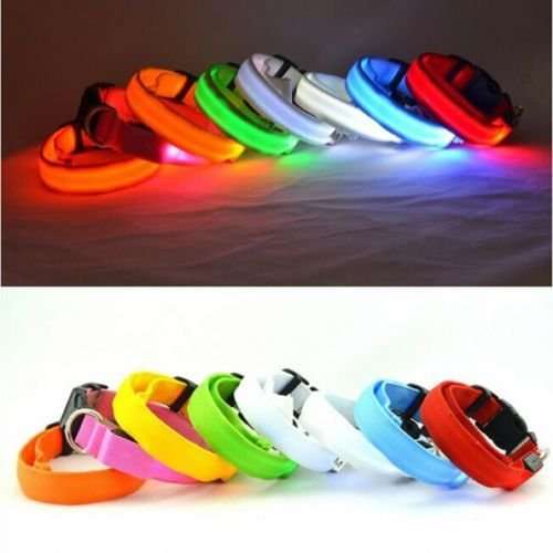 Premium Glow in the Dark LED Dog Safety Collar 1