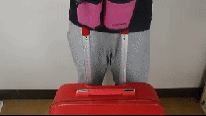 Luggage Travel Cup Holder 1