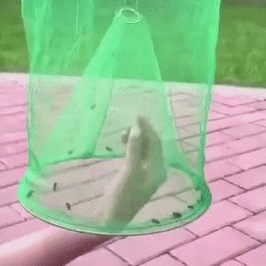 Outdoor Ranch Fly Trap 1