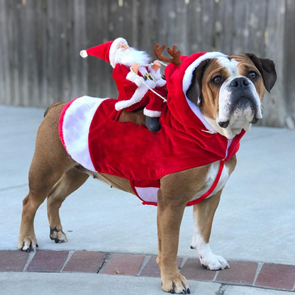 Royal Wise Running Santa Christmas Pet Costumes 1