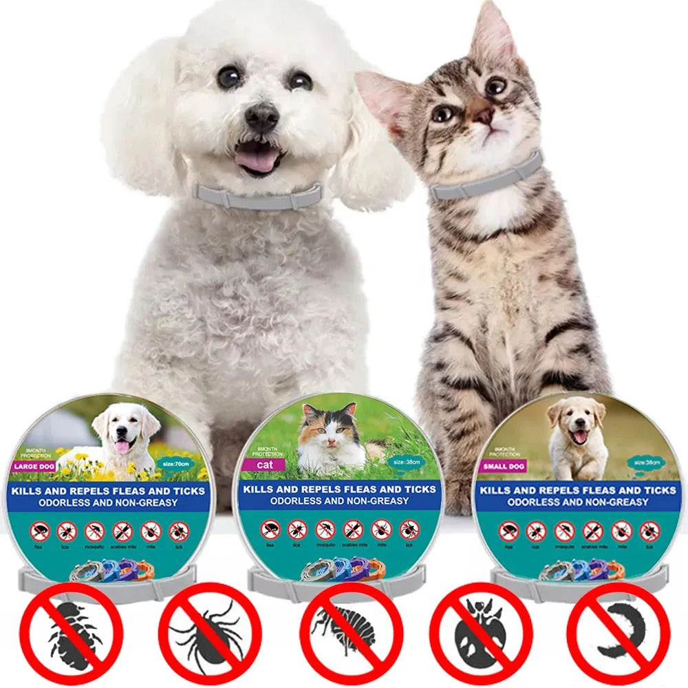Flea and Tick Pet Collar 1
