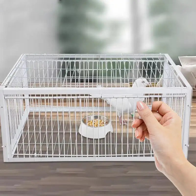 AutoTrap Bird Cage 1
