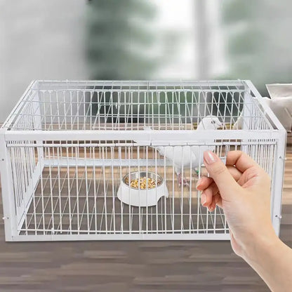 AutoTrap Bird Cage 1
