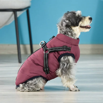 3 in 1 Winter Dog Jacket 1