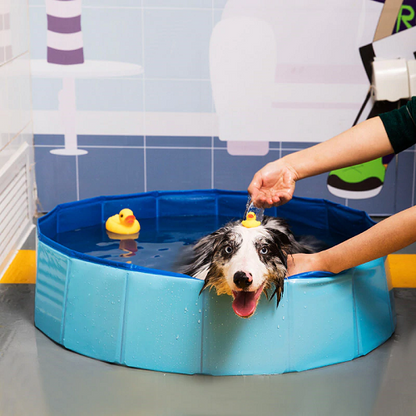 PORTABLE PAW POOL 1