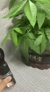 Mini Handheld Misting Fan 1
