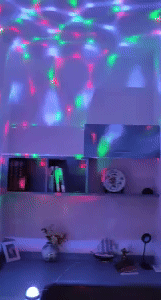 Mini Disco Ball 1