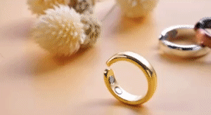 Adjustable Magnetic Ring 1