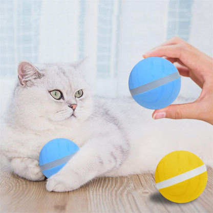 Motion Ball For Pets 1