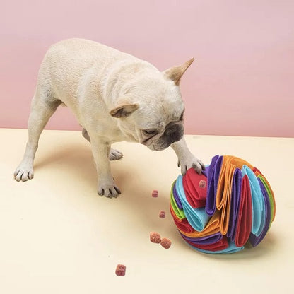 Snuffle Dog Ball 1