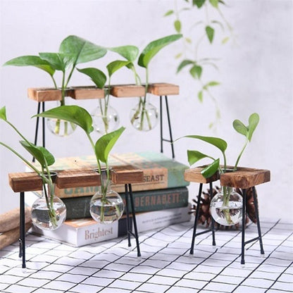 Plant terrarium with wooden stand 1