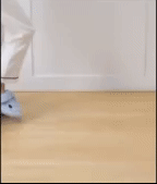 Cute Shark Slippers 1