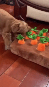Carrot Doll Dog Toy 1