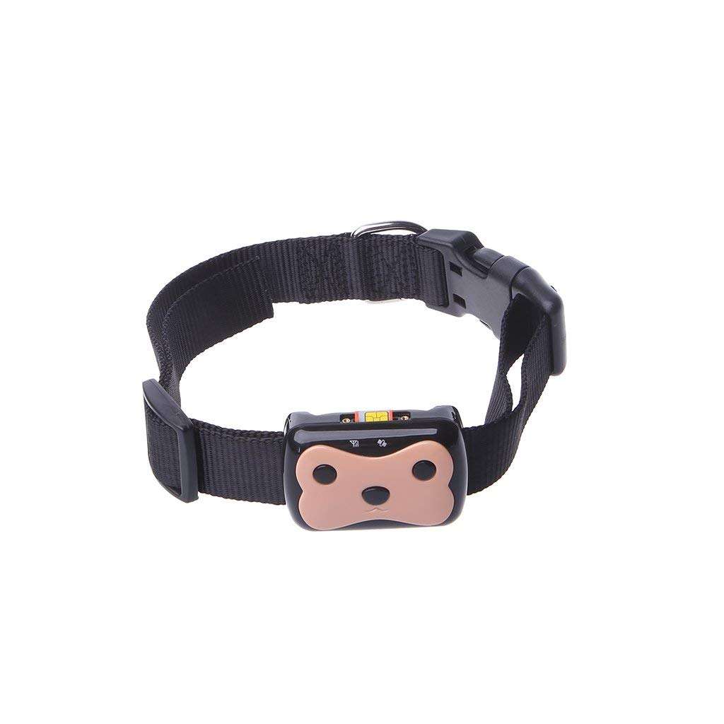 GPS Dog Tracker 1