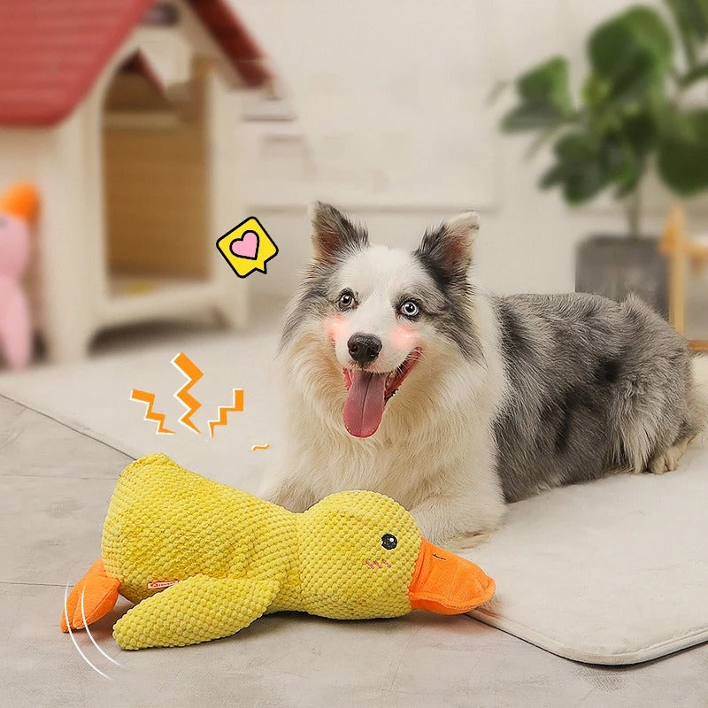 Quack-Quack Duck Dog Toy 1
