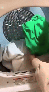Laundry Turtle 1