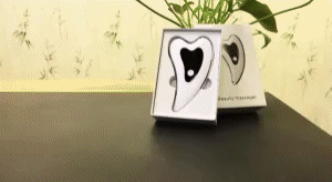 Electric Skin Massagers 1