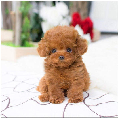 REALISTIC TEDDY DOG LUCKY 1