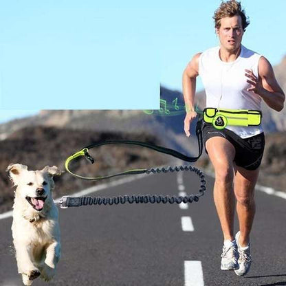 Handsfree Bungee Dog Leash 1