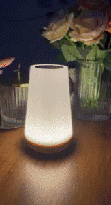 Night Light Kids 1