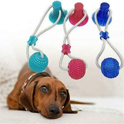 Dog molar bite toy 1