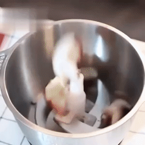 PRO FOOD GRINDER 1