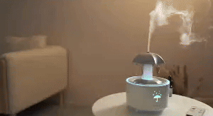 Umbrella Humidifier 1