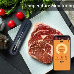 Wireless Meat Thermometer 1
