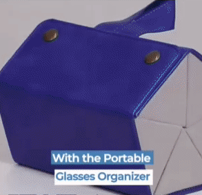 Portable glasses organizer 1