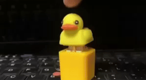 Fidget Toy That Quacks 1