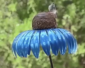 Outdoor Flower Bird Feeder 1