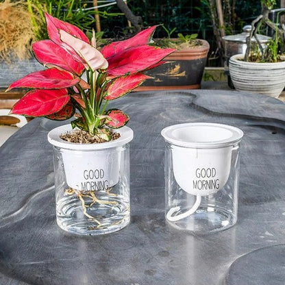 Hydroponic Flowerpot 1