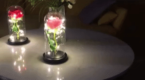 GALAXY ROSE FLOWER DOME 1