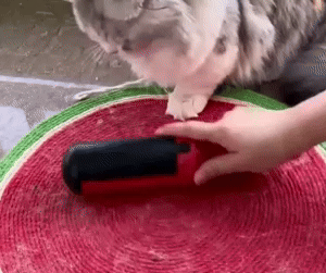 Pet Hair Remover Roller 1