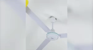 Ceiling Fan Cleaner 1