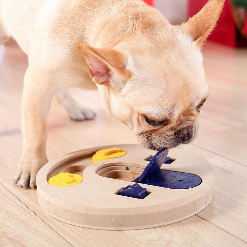 Pet Educational Interactive Feeder 1