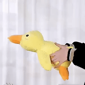 Duck Dog Toy 1